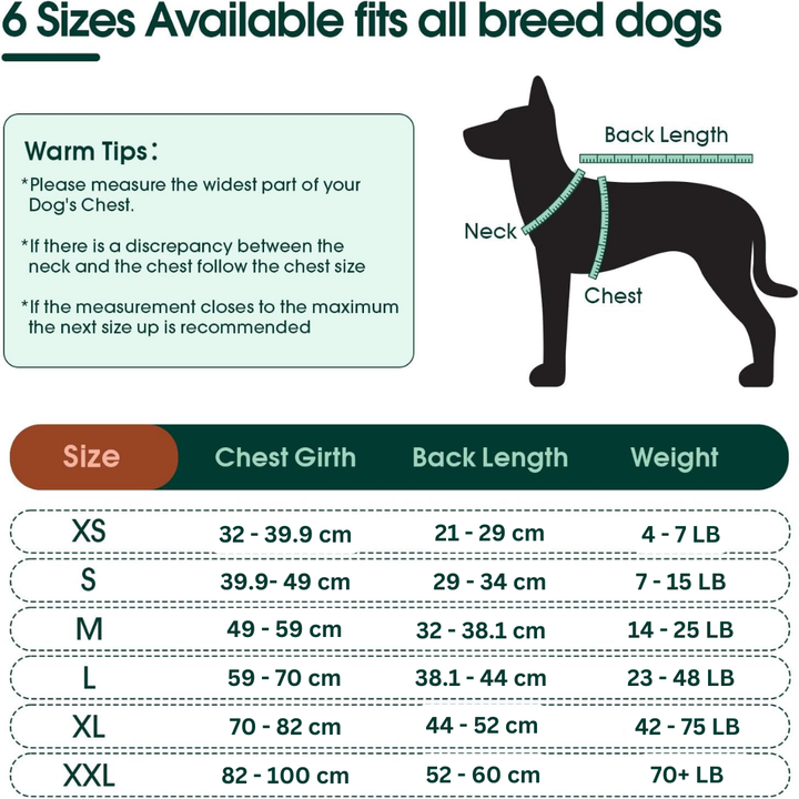 Snelle Herstelpak voor Huisdieren – Genezing na Operatie