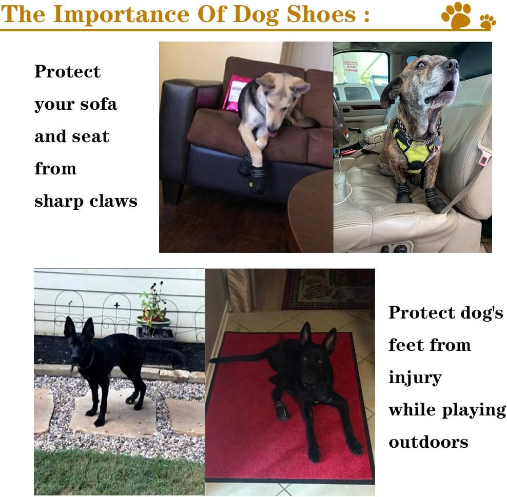 All-Weather Hondenlaarzen voor Veilige Avonturen