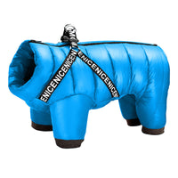 Winterjas voor Honden - ArcticPaws