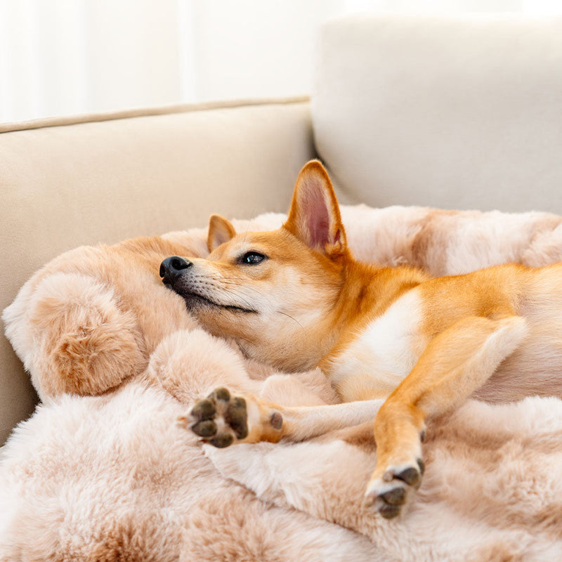 Soft Dog Bed - PlushNest
